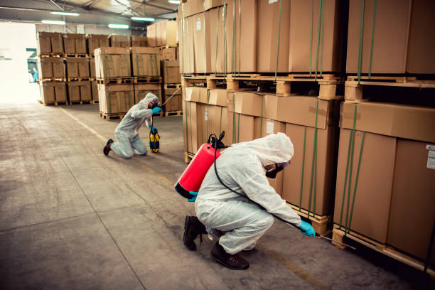 Best Affordable Pest Control Services  in Crystal Lake, IL