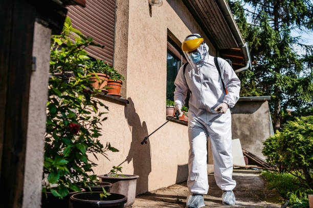 Best Rodent Control Near Me  in Crystal Lake, IL