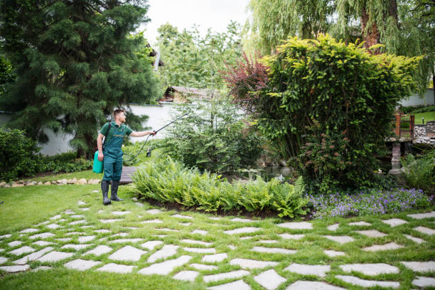 Best Cockroach Control Services  in Crystal Lake, IL