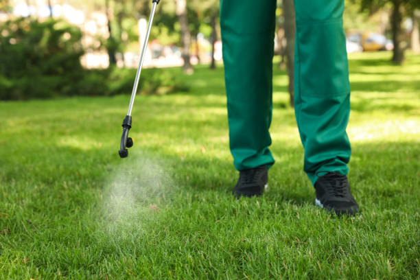 Best Spider Control Near Me  in Crystal Lake, IL