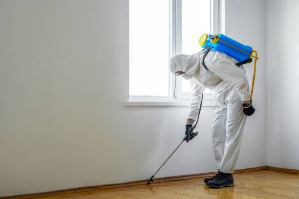 Best Best Pest Control Companies  in Crystal Lake, IL