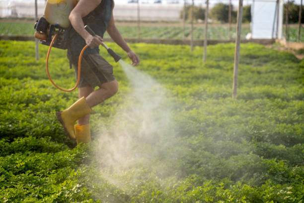 Best Residential Pest Control  in Crystal Lake, IL