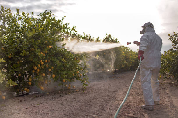 Best Mosquito Control Services  in Crystal Lake, IL
