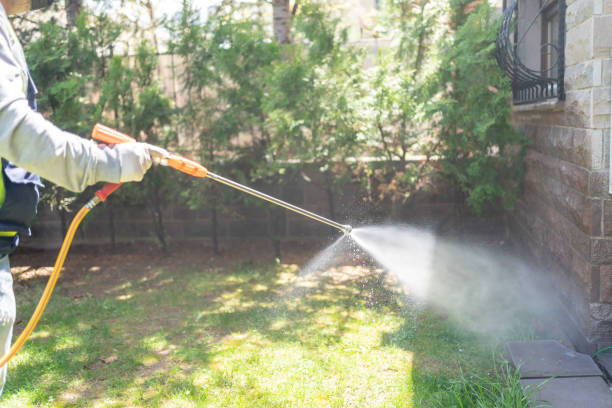 Best Local Pest Control Services  in Crystal Lake, IL