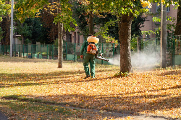 Best Pest Control Treatment  in Crystal Lake, IL