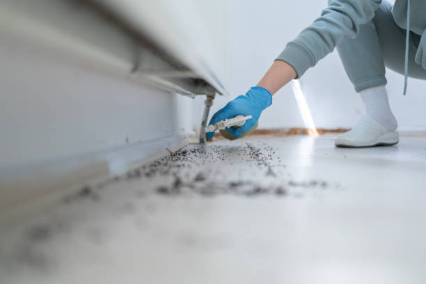 Best Affordable Pest Control Services  in Crystal Lake, IL