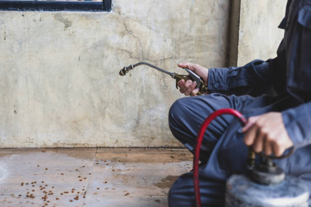  Crystal Lake, IL Pest Control Pros