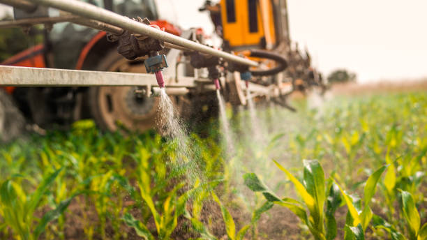 Best Commercial Pest Control Services  in Crystal Lake, IL