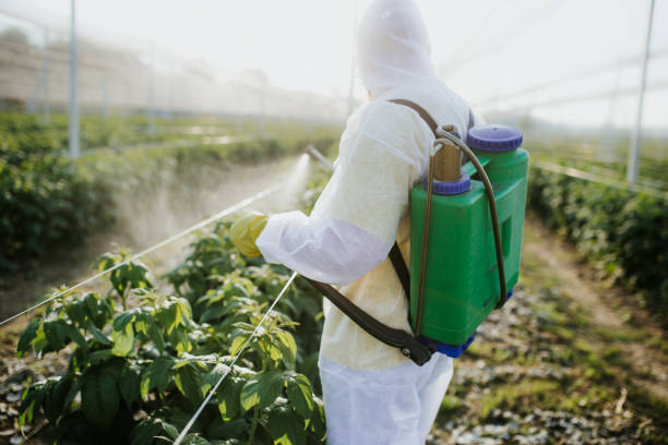 Best Pest Inspection Near Me  in Crystal Lake, IL